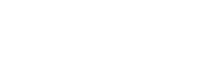 BetaFlight