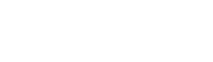 PX4